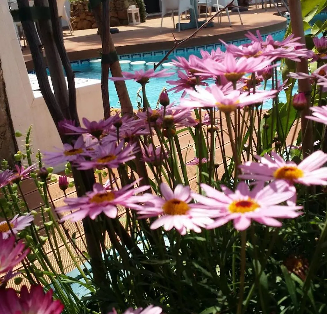 Apartment Banus Lodge Marbella