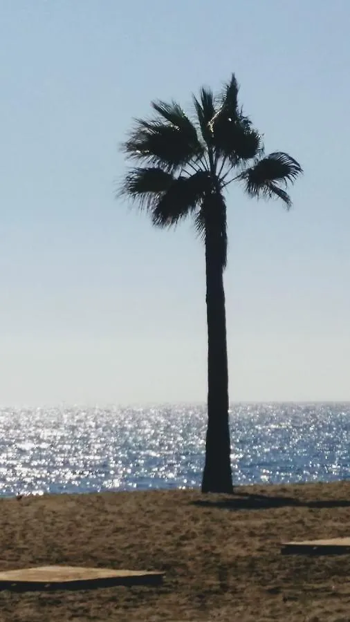 Banus Lodge Marbella Spain